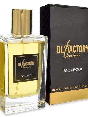 OLFACTORY EAU DE PARFUM MOLECOL 100ML